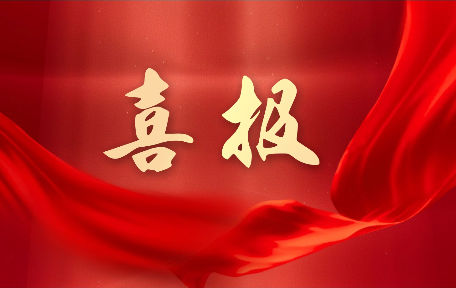 營收凈利雙增長！依頓電子2025年一季度經(jīng)營業(yè)績續(xù)寫高質(zhì)量發(fā)展華章